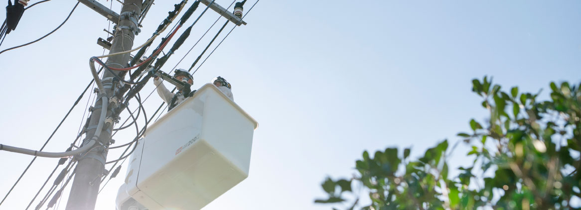 株式会社関口電設